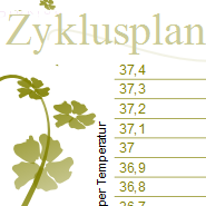 featured_zyklusplan-pink