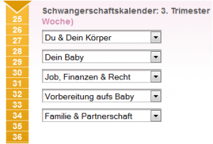 Schwangerschaftskalender - das dritte Trimester