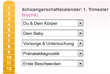 Schwangerschaftskalender: erstes Trimester