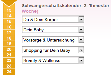Schwangerschaftskalender - das zweite Trimester