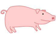 Sau