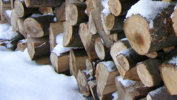 Holz Kamin-Brennstoffe