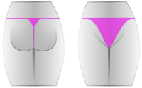 String - Slip