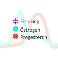 Hormonschwankungen und PMS