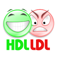 HDL und LDL Cholesterin