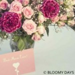 BLOOMY DAYS