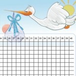 Baby-Plan: Zykluskalender