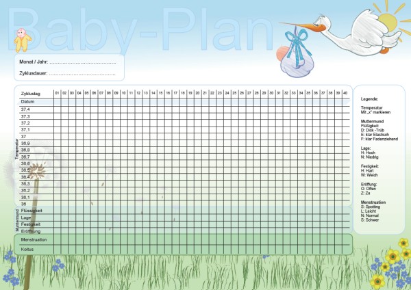 Baby-Plan Zykluskalender