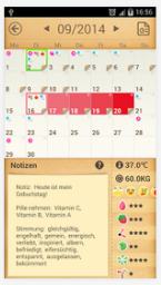 Der Menstruationskalender