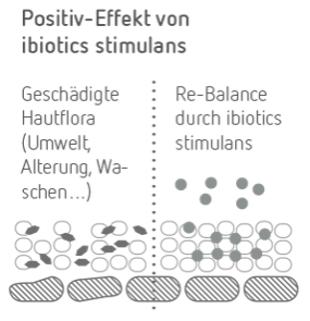ibiotics stimulans Effekt