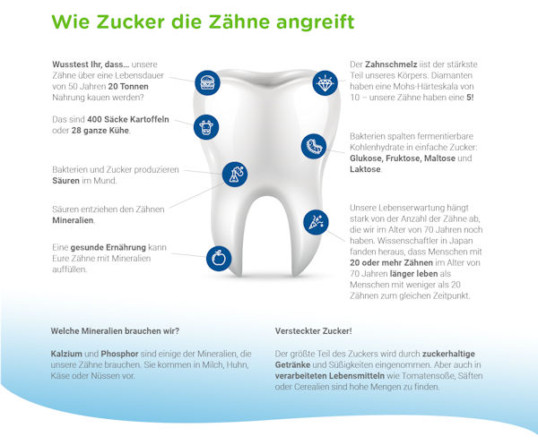 Mundgesundheit - Wie-zucker die Zähne angreift