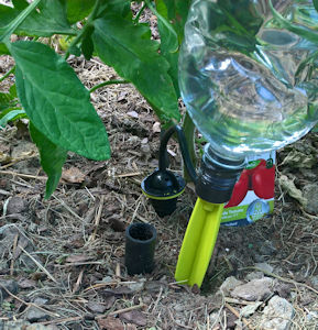 Garten: Tröpfchenbewässerung