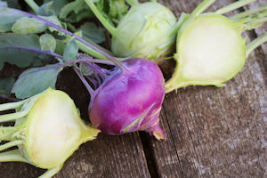 Kohlrabi