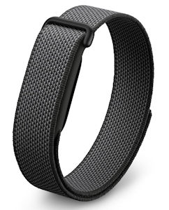 Google Fitbit Air